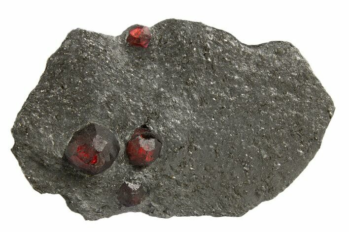 Plate of Four Red Embers Garnets in Graphite - Massachusetts #313526